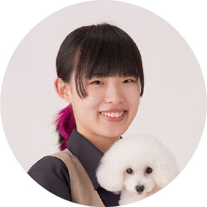 リボンについて ドッグライフショップリボン 飯田市の愛犬トリミングショップ リボンについて ドッグライフショップリボン 飯田市の愛犬トリミングショップ